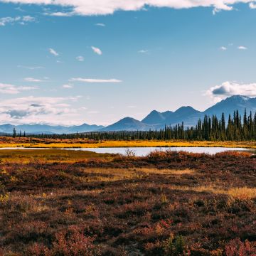 Autumn season, Landscape, Scenery, Beautiful, Mountain range, Green Trees, Clear sky, Lake, 5K