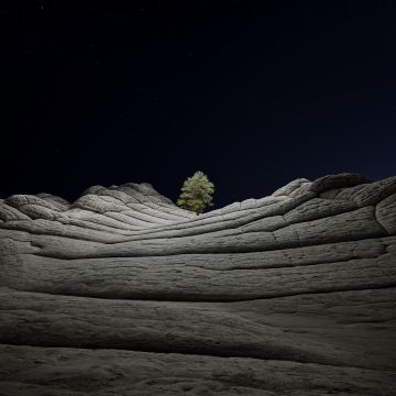 macOS Big Sur, Dark aesthetic, Stock, Night, Lone tree, Sedimentary rocks, Starry sky, iOS 14, 5K, Vermilion Cliffs