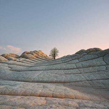 macOS Big Sur, Daylight, Stock, Daytime, Lone tree, Sedimentary rocks, iOS 14, 5K, Vermilion Cliffs