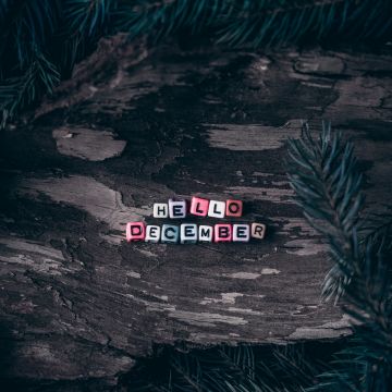 Hello December, Dice, Assorted, Wooden background, Pine branches, Christmas decoration, Letters, 5K