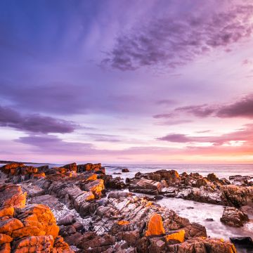 Bay of Fires, Tasmania, Australia, Sunrise, Rocky coast, Seascape, Ocean, Clouds, Purple sky