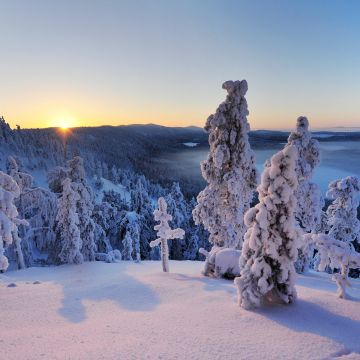 Konttainen fell, Finland, Hill, Winter, Snowy Trees, Snow covered, Sunrise, Horizon, Landscape