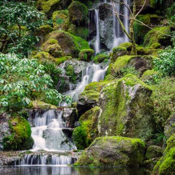 Portland Japanese Gardens, Waterfalls, Green Moss, Rocks, Greenery, Water Stream, Long exposure, 5K