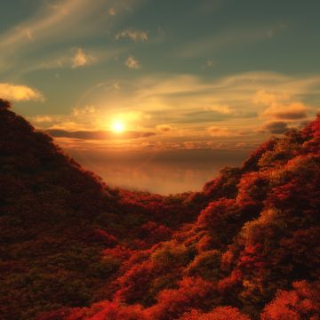 Red Trees, Sunrise, Cloudy Sky, Forest, Aerial view, Beautiful, 5K