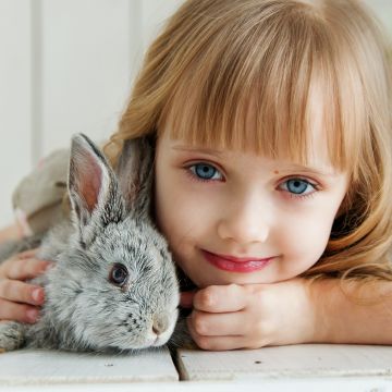 Smiling girl, Rabbit, Blue eyes, Cute Girl, Happiness, Joy, Pretty, Adorable, 5K, Pretty