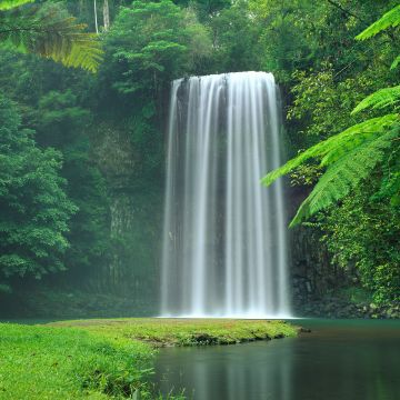 Millaa Millaa Falls, Australia, Waterfalls, Forest, Green Trees, Landscape, Cliff, Long exposure, Water Stream, Beautiful, Scenery