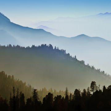 Mac OS X, Mountains, Forest, Hills, Foggy, Morning, Stock, 5K