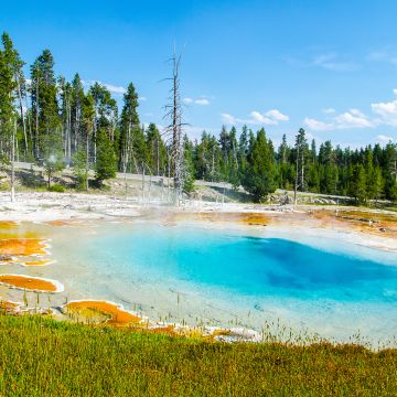 Mudpot, Yellowstone National Park, Tourist attraction, Green Trees, Landscape, Blue Sky