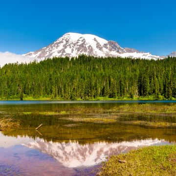 Mount Rainier, Volcano, Seattle, Washington, USA, Landscape, Blue Sky, Reflection, Green Trees, Scenery, Lake, Mountain Peak, Snow covered
