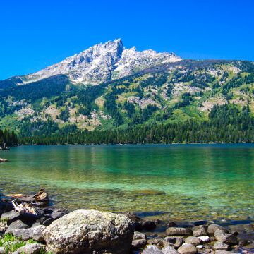 Emerald Lake, Grand Teton National Park, Wyoming, Blue Sky, Clear water, Rocks, Landscape, Scenery, Green Trees, Daytime