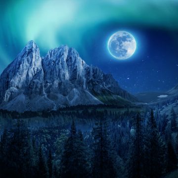 Moon, Aurora Borealis, Mountains, Winter, Forest, Night