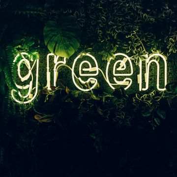 Green, Neon sign, Plant, Illuminated, Leaves