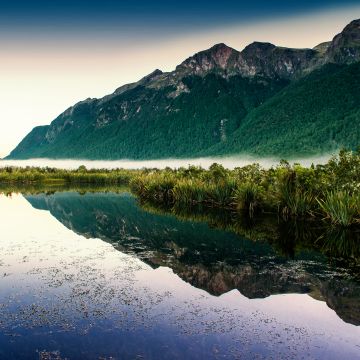 Mirror Lakes, New Zealand, Fog, Mountain, Reflection, Landscape, Scenery, Greenery