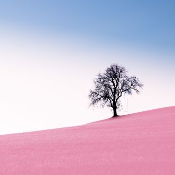 Solitude Tree, Clear sky, Landscape, Surreal, Pink Sand, Desert, Swing, Scenery, 5K, 8K