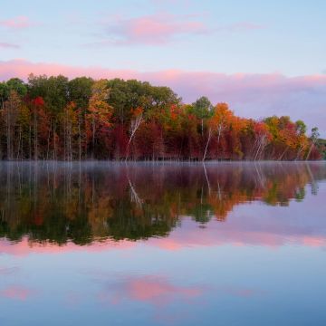 Autumn trees, Forest, Body of Water, Reflection, Lake, Landscape, Scenery, Outdoor, 5K