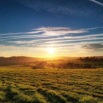 Green Meadow, Landscape, Grass field, Sunset, South Downs National Park, United Kingdom, Findon