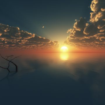 Sunset, Cloudy Sky, Horizon, Body of Water, Reflection, Seascape, Tree Branch, Digital render, Ocean