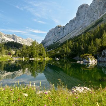 Double Triglav lake, Slovenia, Seven lakes valley, Julian Alps, Mountains, Landscape, Reflection, Green Trees, Blue Sky, Clear sky