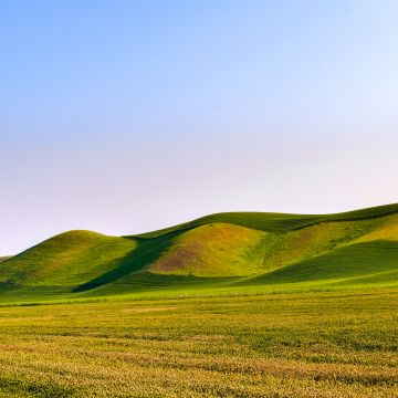 Great Field Dunes, Green Meadow, Landscape, Scenery, Beautiful, Clear sky