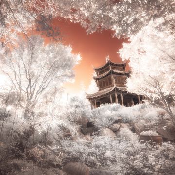 Pagoda, Temple, Ancient architecture, Trees, Infrared vision, 5K