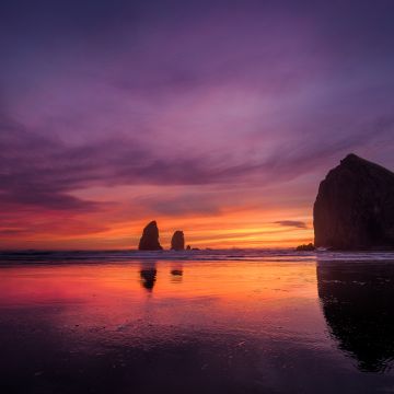 Oregon Coast, Sunset, Beach, Purple sky