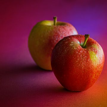 Red Apples, Dew Drops, Water drops, Pair, Fruits, Healthy, Gradient background, 5K