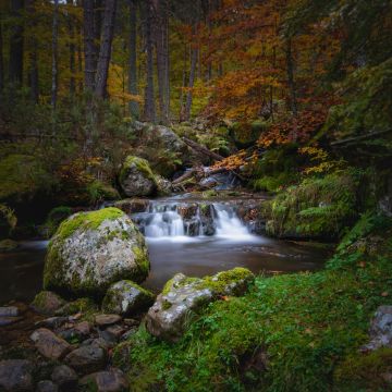 Waterfall, Autumn, Foliage, Forest, Woods, Greenery, Rocks, Green Moss, Long exposure, Water Stream, Landscape, Scenery, 5K