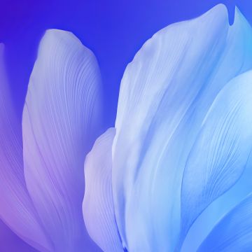 Blue flower, Gradient background, Aesthetic, Vivo Stock, Android 10