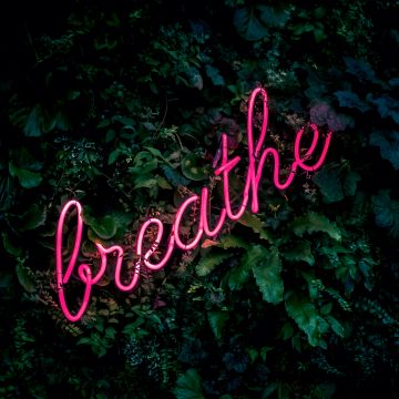 Breathe, Neon sign, Green background, Green leaves, Pink, Girly backgrounds