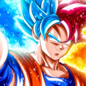 Goku, Super Saiyan Blue, Super Saiyan God, Dragon Ball Super, 5K