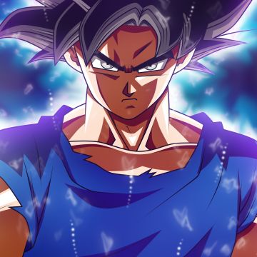 Goku Mastered Ultra Instinct, Dragon Ball Super, 5K