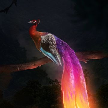 Peacock, Mythical, Digital Art