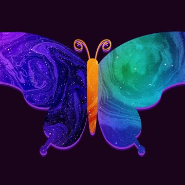 Butterfly, Colorful, Girly, Vivid, Dark background, Digital Art, Dark aesthetic