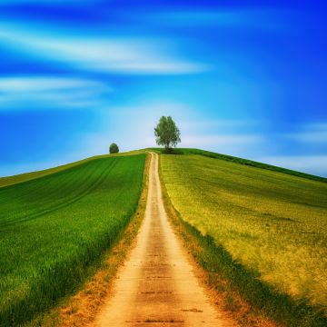 Landscape, Green, Path, Countryside, Daytime, Summer, 5K