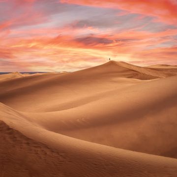Desert, Evening, Sand Dunes, Alone, Sunset, 5K