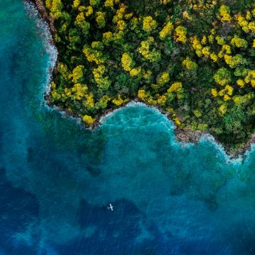 Fantasy Island, Aerial view, Forest, Ocean, 2020, 5K