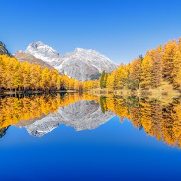 Lai da Palpuogna, Autumn trees, Mountain lake, Reflection, Albula Pass, Clear sky, Landscape, Scenery, 5K