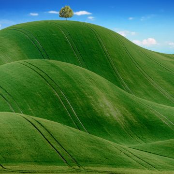 Green Meadow, Countryside, Agriculture, Hills, Blue Sky, Landscape, Scenery