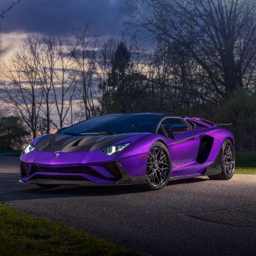 Lamborghini Aventador, Super Sports Cars