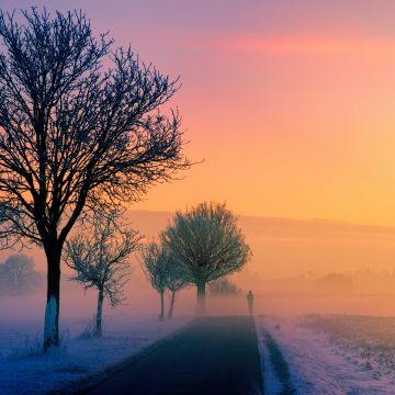 Golden hour, Foggy, Sunrise, Morning, Winter, Road, 5K