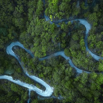 Forest, Cold, Road, Aerial view, Drone photo, Landscape