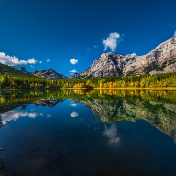 Wedge Pond, Canada, Clear sky, Reflection, Mountains, Green Trees, Landscape, Scenery