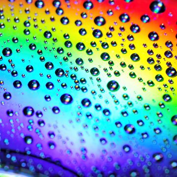 Water droplets, Rainbow, Macro, Colorful, Drops