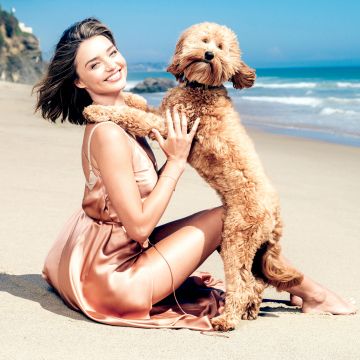 Miranda Kerr, Pet dog, Beach, Photoshoot