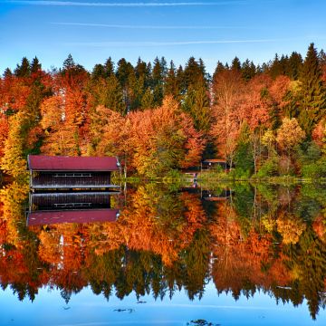Autumn trees, Mirror Lake, Forest, Reflection, Wooden House, Landscape, Scenery, 5K, 8K