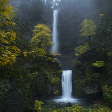 Multnomah Falls, Oregon, Forest, Waterfalls, Green Moss, Rocks, Cliff, Greenery, Bridge, Landscape, Scenery