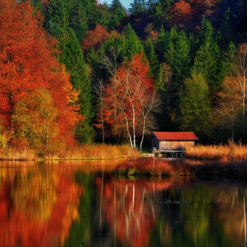 Autumn Scenery, Lakeside, Colourful, Forest, Reflection, Landscape, Wooden House, Beautiful