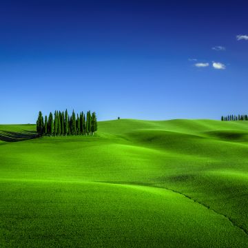 Green Meadow, Torrenieri, Tuscany, Italy, Clear sky, Landscape, Blue Sky, Spring, 5K