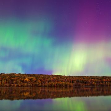 Aurora sky, Aesthetic, Forest Trees, Body of Water, Reflection, Northern Lights, Aurora Borealis, Beautiful, Landscape, 5K