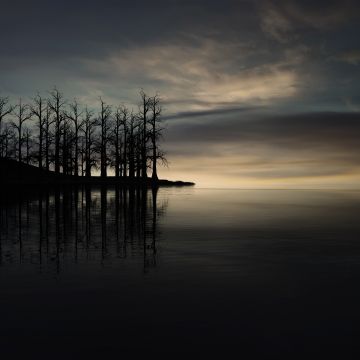 Sunset, Dry trees, Silhouette, Dusk, Lake